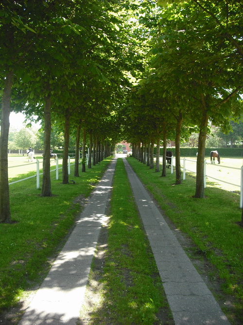 Die Windm�hle in Lindern