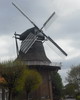 Windm�hle in Scharrel, Landkreis Cloppenburg.