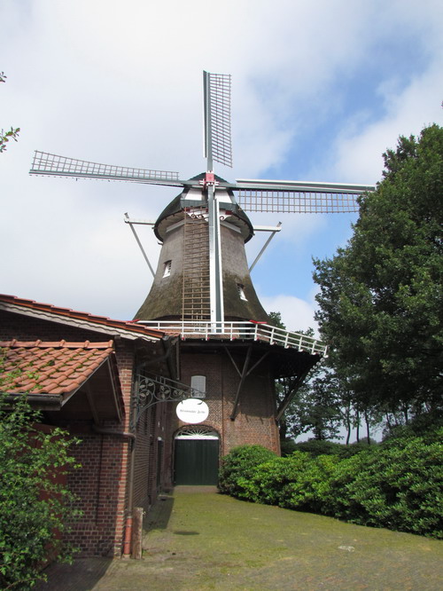 Galerieholl�nder "Felde" in Holtrop