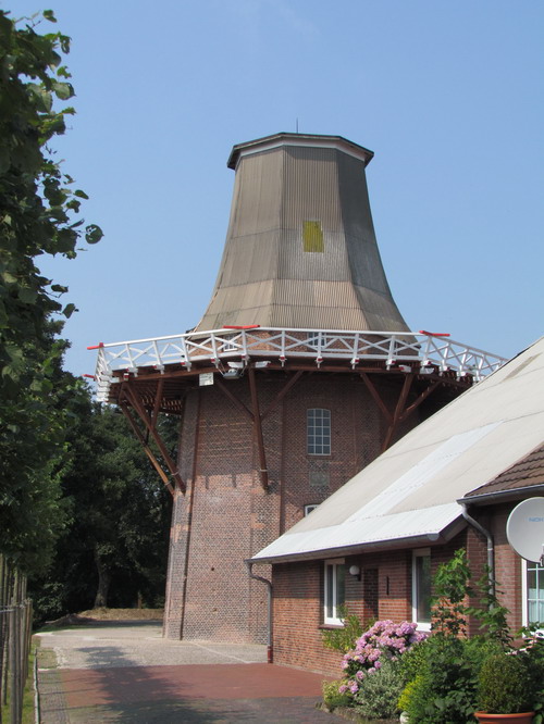 Galerieholl�nder in Neermoor