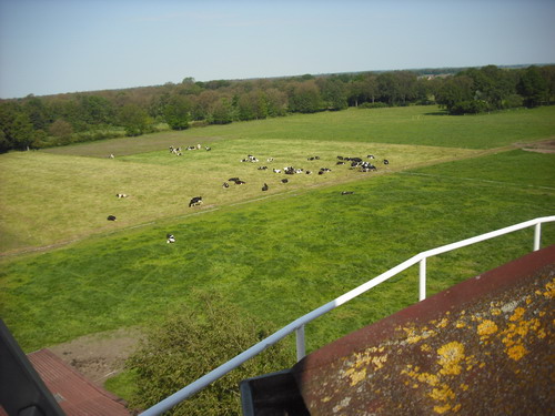 Blick von der Windmühlenkappe der Windmühle in Rhaude. Ostfriesische Landschaft.