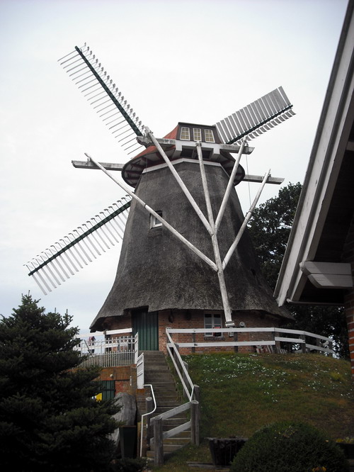 M�hlenrallye M�hlenquiz