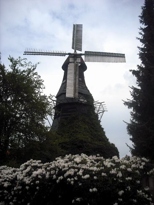 Windm�hle in V�llenerfehn, Ostfriesland, Norddeutschland.