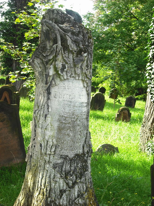 Jdischer Friedhof Heiliger Sand in Worms