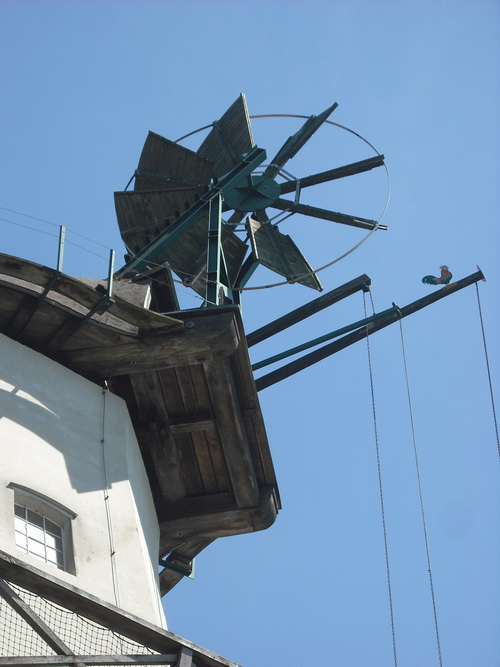 Windrose - Die Querensteder M�hle