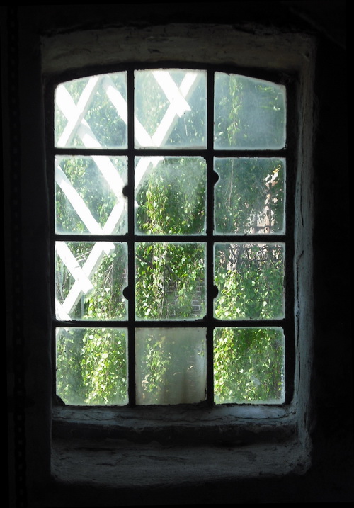 Wallholl�nder Windm�hle in Westerscheps