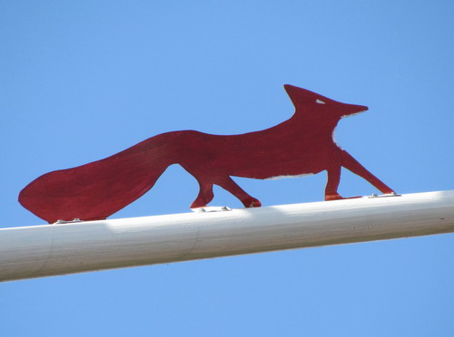 Fuchs auf dem Bremsbalken