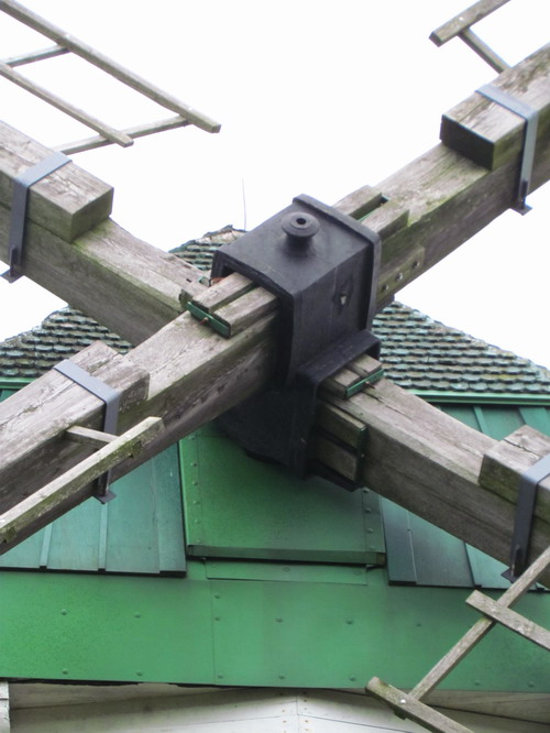 Fl�gelkreuz und Wellkopf